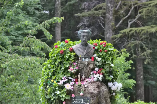 Busto de Dr. Sousa Martins - Parque da Saúde (foto de 2020)