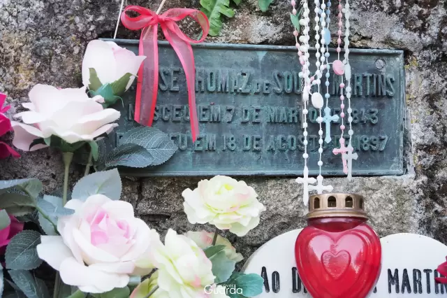 Busto de Dr. Sousa Martins - Placa de Identificação (foto de 2021)