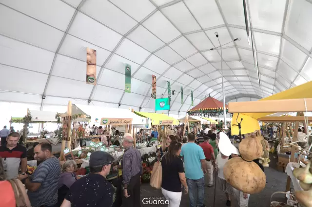 Feira Farta - 4.ª Edição - 2018