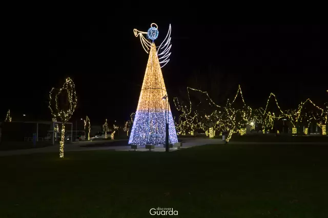 Guarda Cidade Natal 2020