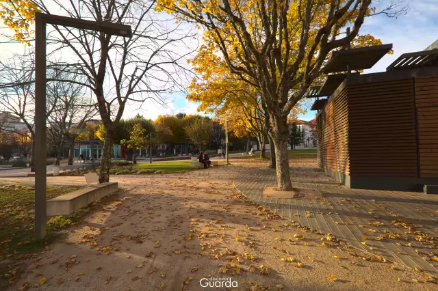 Jardim José de Lemos - Em tarde de Outono (foto de 2020)