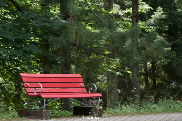 Parque da Saúde (foto de 2020)