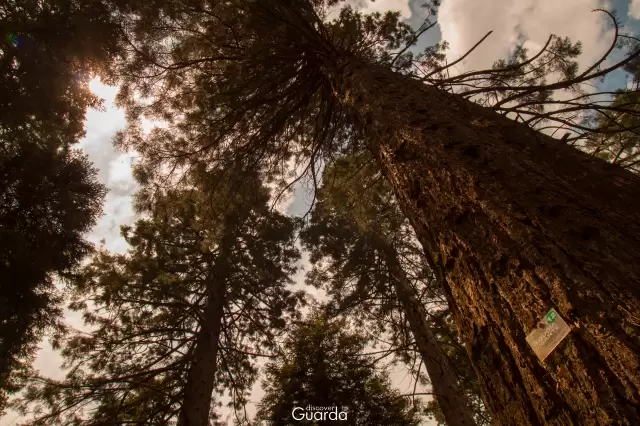 Parque da Saúde (foto de 2020)