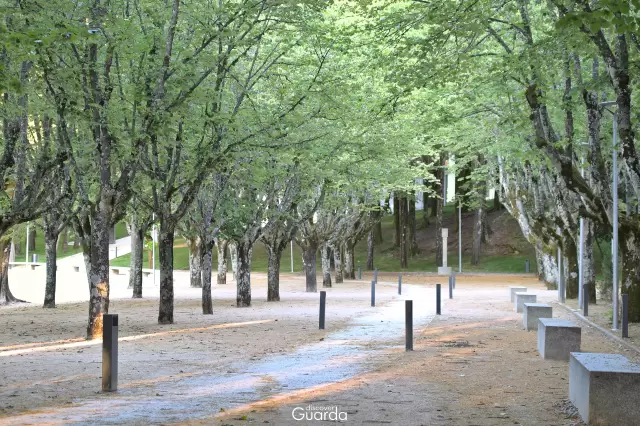 Parque Municipal (foto de 2018)